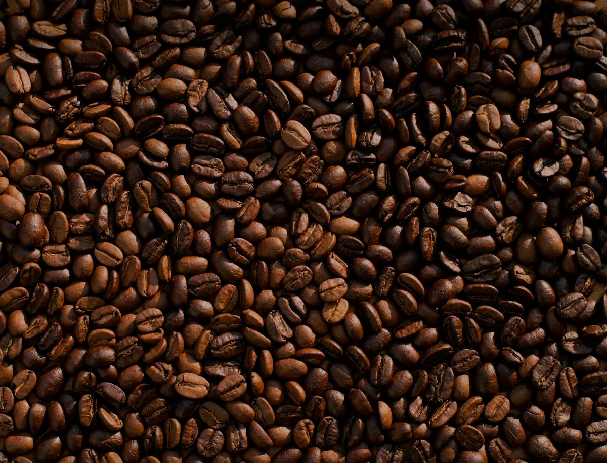 Freshly roasted coffee beans and the Celqenavessoria café story